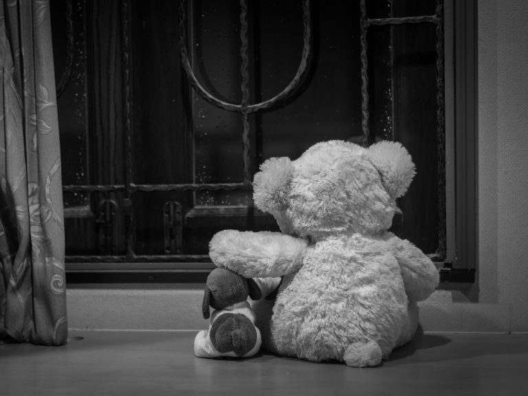 Familienrecht - Und wer denkt an uns? Ein Teddybär sitzt mit einem kleinen Hundewelpen vor einem Fenster.